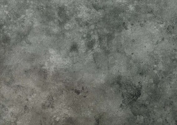 13453_Burnish_Scan_Web