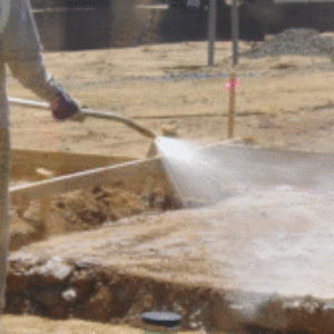 Photo de Profil de kanebe9179