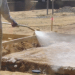 Photo de Profil de kanebe9179